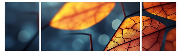 Obraz - Textura listů (170x50 cm)
