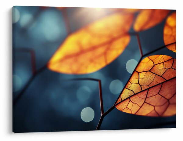 Obraz - Textura listů (70x50 cm)