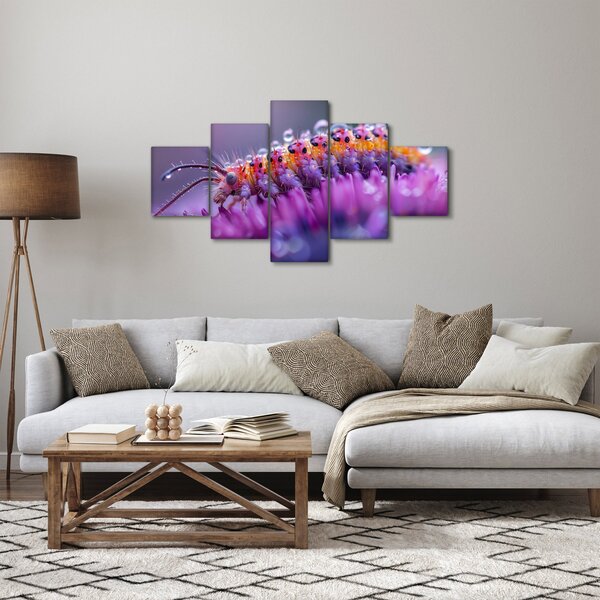 Obraz - Housenka (125x70 cm)
