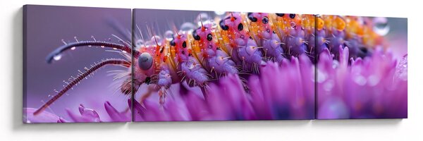 Obraz - Housenka (170x50 cm)