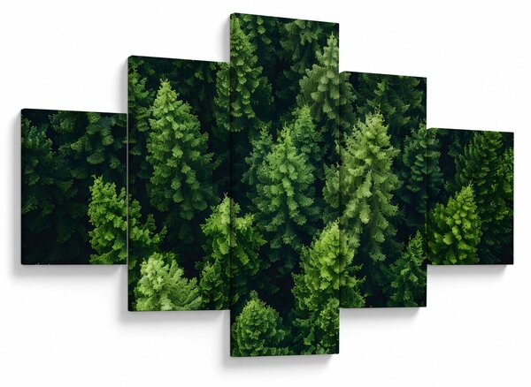 Obraz - Les (125x70 cm)