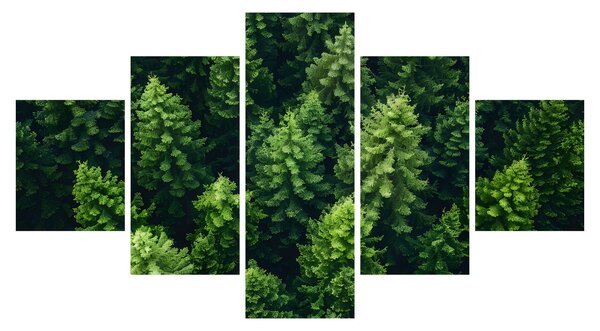 Obraz - Les (125x70 cm)