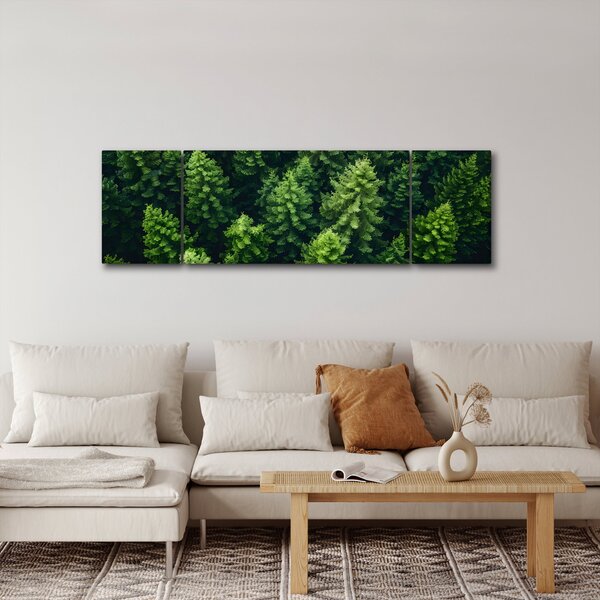 Obraz - Les (170x50 cm)