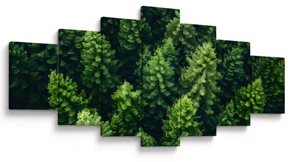 Obraz - Les (210x100 cm)