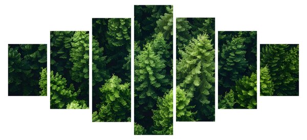 Obraz - Les (210x100 cm)