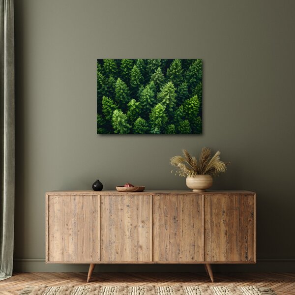 Obraz - Les (70x50 cm)