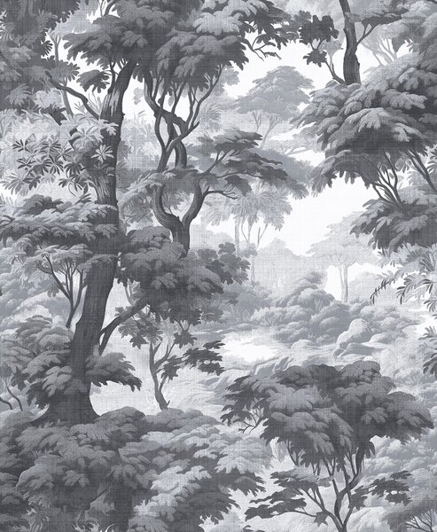 Vliesová tapeta na zeď, šedo-černá, les, stromy, 127930, Arboretum, Graham Brown Premium