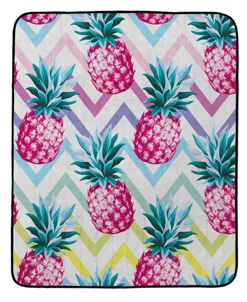 Pikniková deka pink pineapples