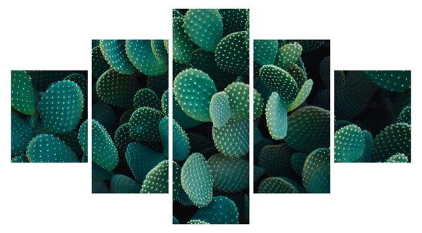 Obraz - Opuncie (125x70 cm)
