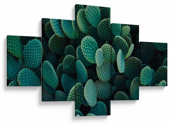 Obraz - Opuncie (125x70 cm)