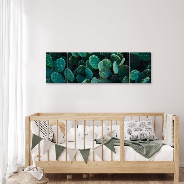 Obraz - Opuncie (170x50 cm)