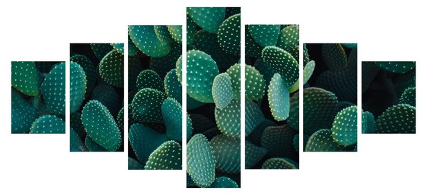 Obraz - Opuncie (210x100 cm)