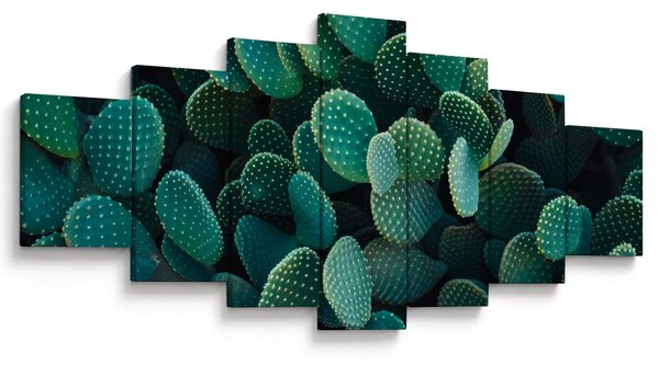 Obraz - Opuncie (210x100 cm)