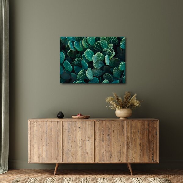 Obraz - Opuncie (70x50 cm)
