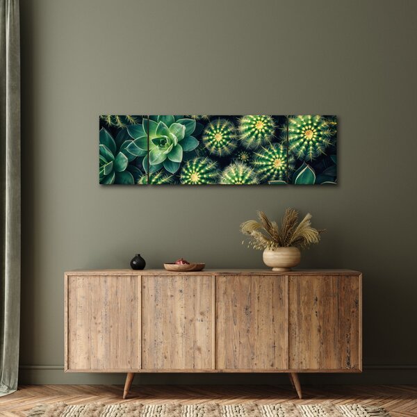 Obraz - Kaktusy (170x50 cm)