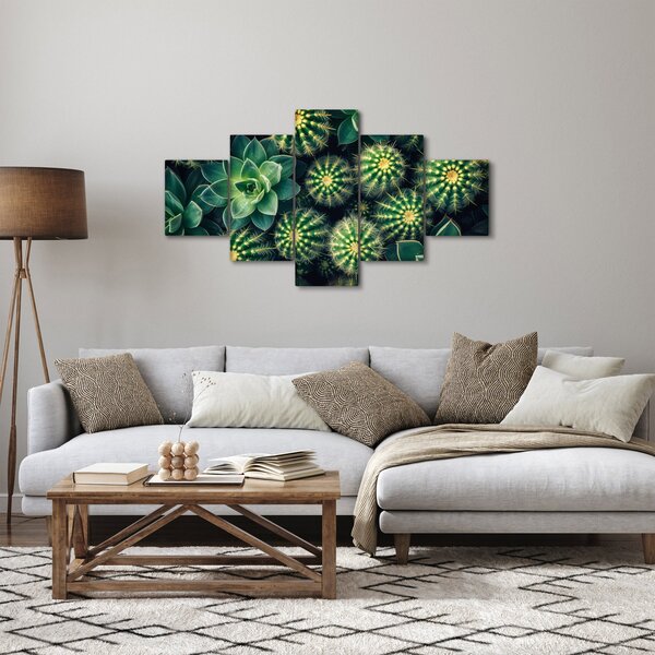 Obraz - Kaktusy (125x70 cm)