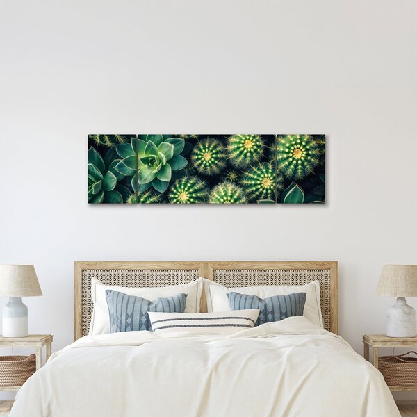 Obraz - Kaktusy (170x50 cm)