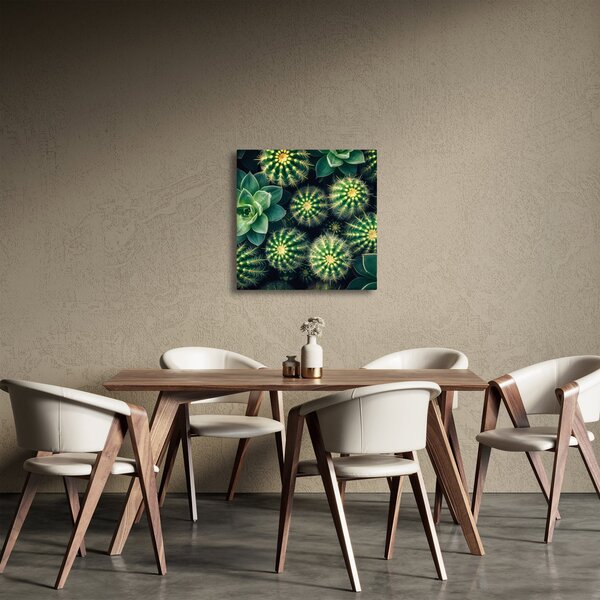Obraz - Kaktusy (30x30 cm)