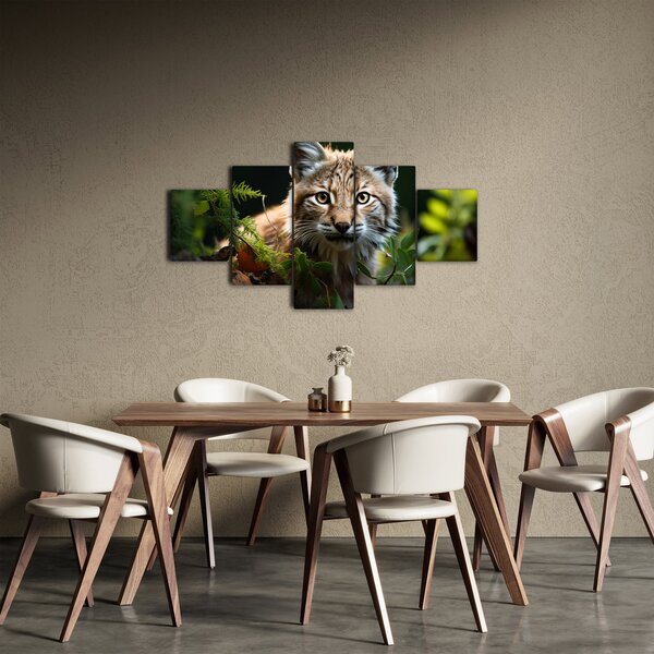 Obraz - Rys (125x70 cm)