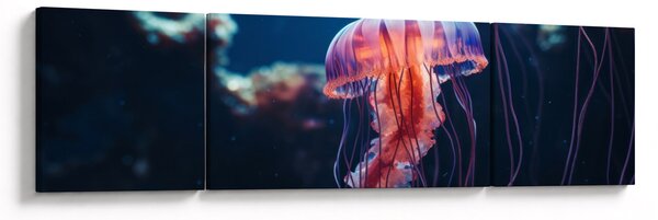 Obraz - Medúzka (170x50 cm)