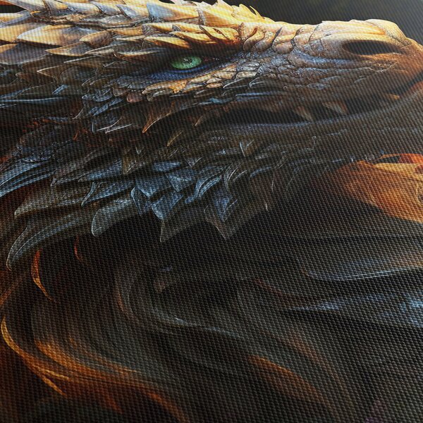 Obraz - Drak (210x100 cm)