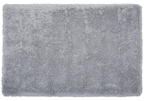 Chlupatý koberec CIDE Světle šedá 200 x 300 cm