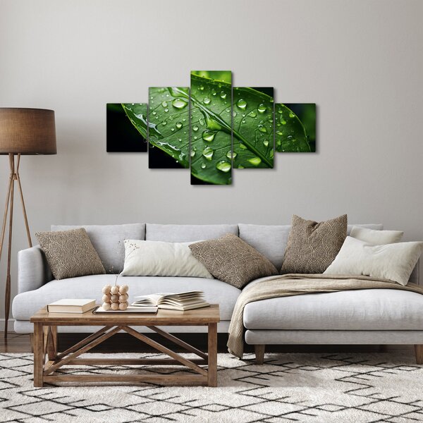 Obraz - List po dešti (125x70 cm)