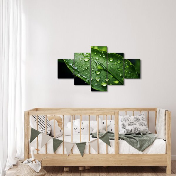 Obraz - List po dešti (125x70 cm)