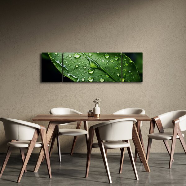 Obraz - List po dešti (170x50 cm)