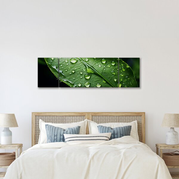 Obraz - List po dešti (170x50 cm)