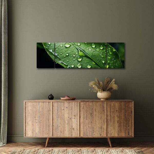 Obraz - List po dešti (170x50 cm)