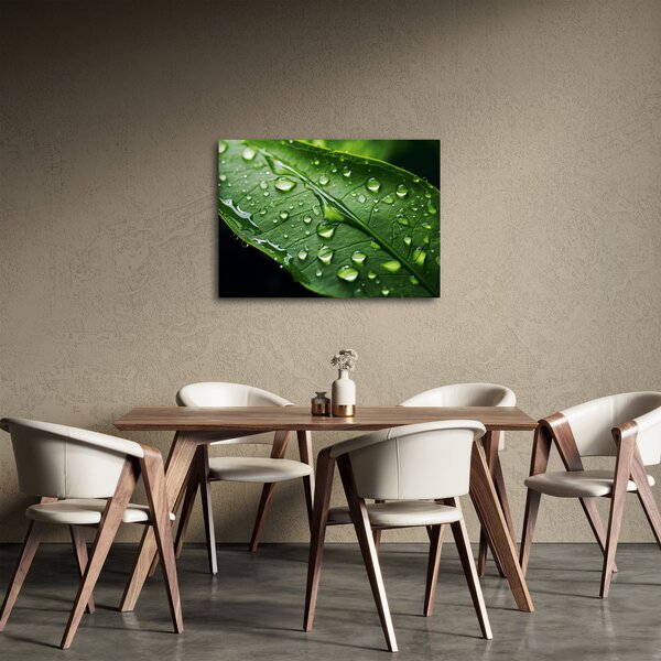 Obraz - List po dešti (70x50 cm)