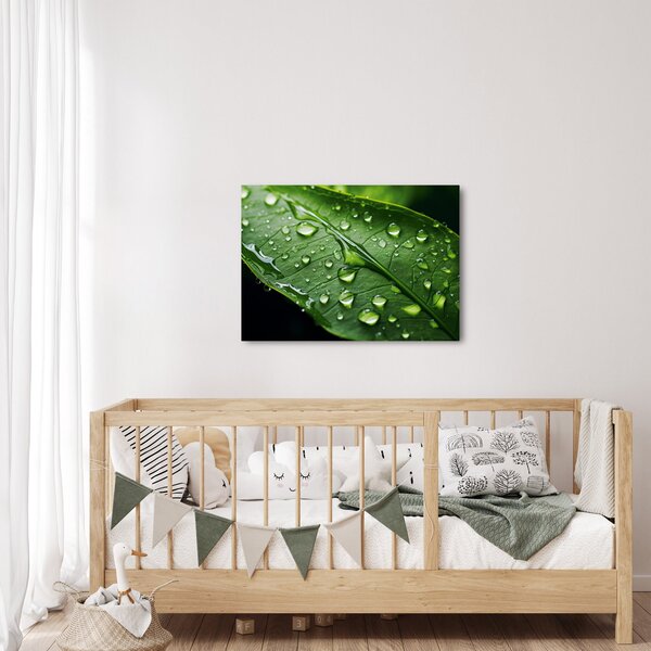 Obraz - List po dešti (70x50 cm)