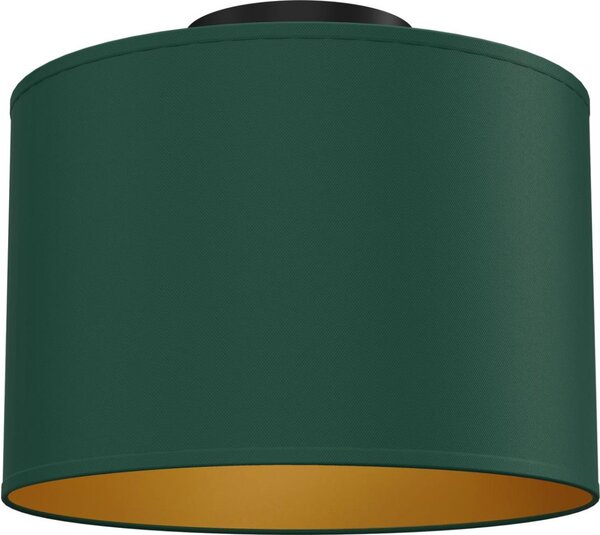 Stropní svítidlo ARDEN 1xE27/15W/230V pr. 25 cm zelená