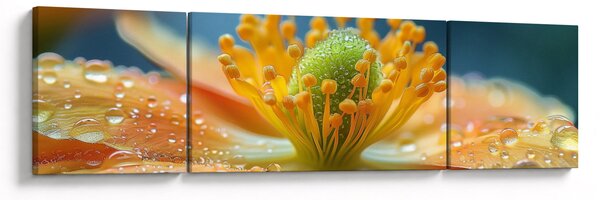 Obraz - Detail květu (170x50 cm)