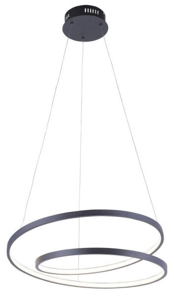 Paul Neuhaus 2472-18 - LED Stmívatelný lustr na lanku ROMAN LED/30W/230V černá
