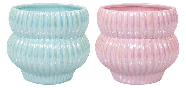 Ter Steege 2 obaly Jenny color D15 H13