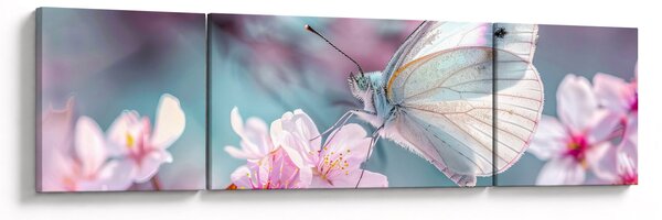 Obraz - Motýl na třešni (170x50 cm)