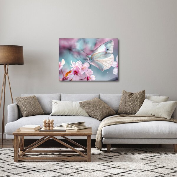 Obraz - Motýl na třešni (70x50 cm)