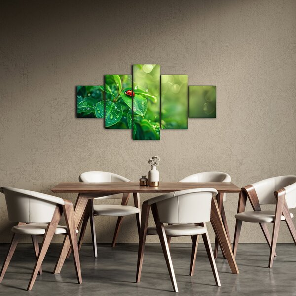 Obraz - Beruška (125x70 cm)