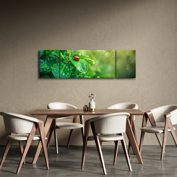 Obraz - Beruška (170x50 cm)