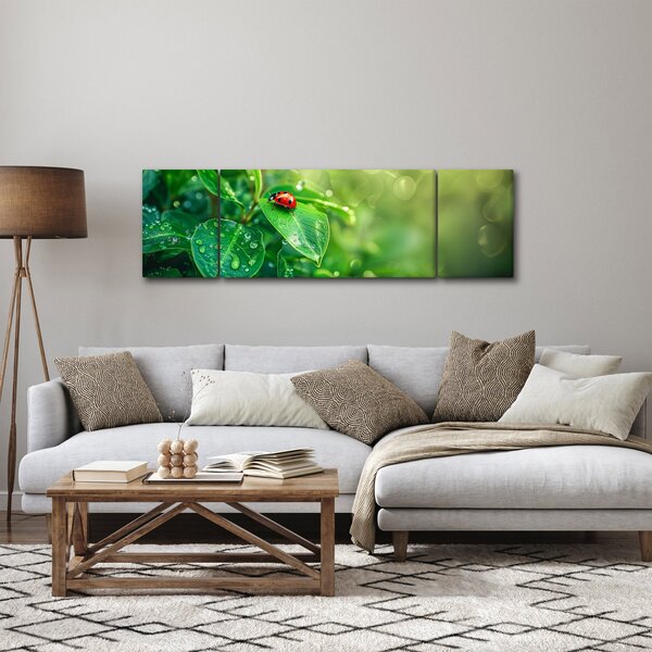 Obraz - Beruška (170x50 cm)