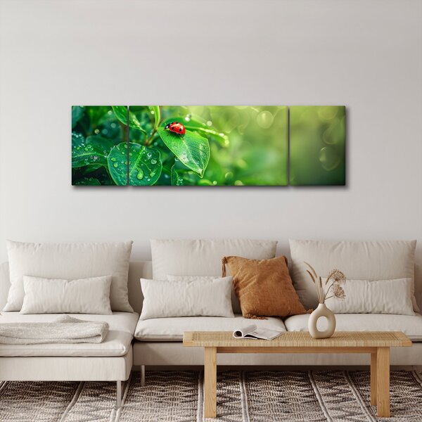 Obraz - Beruška (170x50 cm)