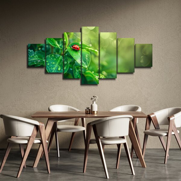Obraz - Beruška (210x100 cm)