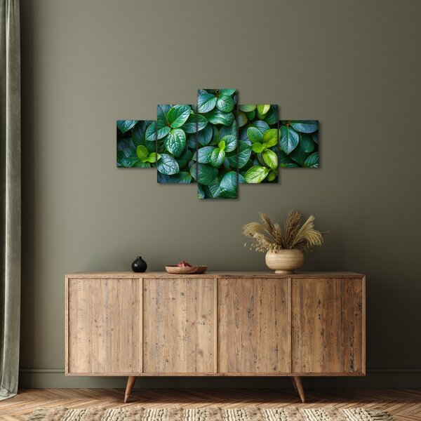 Obraz - Zelené rostliny (125x70 cm)