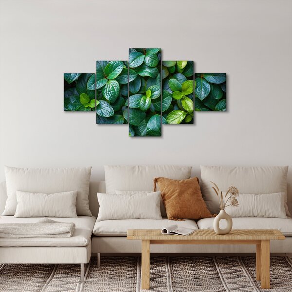 Obraz - Zelené rostliny (125x70 cm)