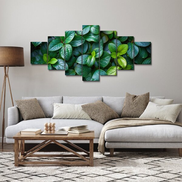 Obraz - Zelené rostliny (210x100 cm)