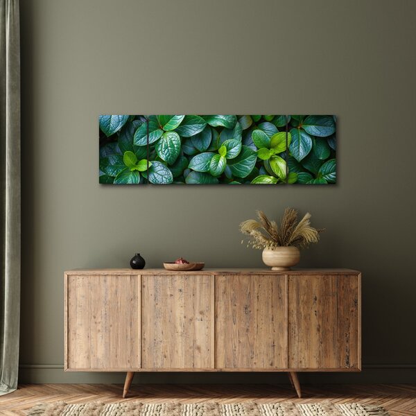 Obraz - Zelené rostliny (170x50 cm)