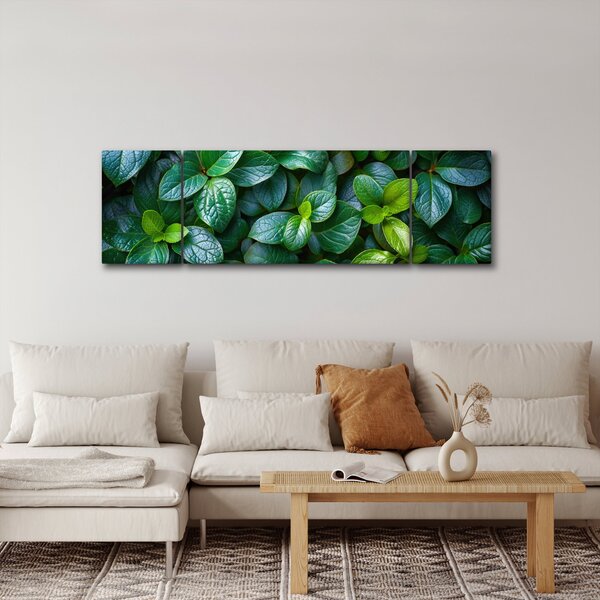 Obraz - Zelené rostliny (170x50 cm)