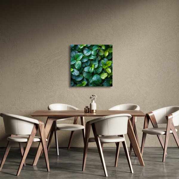 Obraz - Zelené rostliny (30x30 cm)